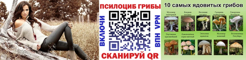 Псилоцибиновые грибы ЛСД  МЕГА зеркало  Ахтубинск 