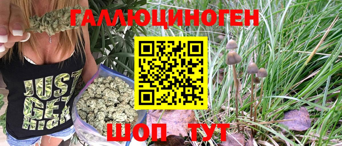 Псилоцибиновые грибы Cubensis  Псилоцибиновые грибы MAGIC MUSHROOMS  Ахтубинск  где найти наркотики  Вход с VPN 